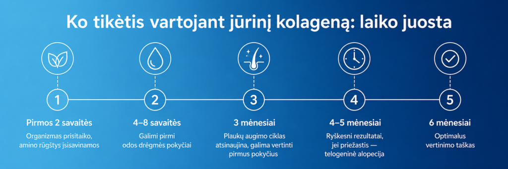 Ko tikėtis vartojant jūrinį kolageną: laiko juosta